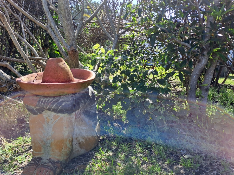 4 Bedroom Property for Sale in Roodefontein AH Western Cape